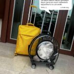 c86c1793b83ead5b786fbe260c413623