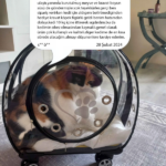 cba6aef81d3a789125eed70720d948e6