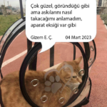 d070958b9e1ffcceed064b855784933b