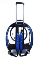 MİGNO Jumbo Model Kedi Köpek Taşıma Çantası Şeffaf Fileli Mavi - Görsel 4