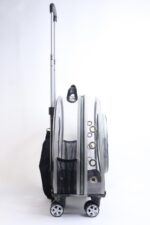 MİGNO Küçük Şeffaf Model Kedi Köpek Taşıma Çantası Gri - Görsel 3