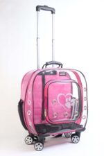 MİGNO Prestige Model Şeffaf Kedi Köpek Taşıma Çantaları Küçük - Pembe - Görsel 2