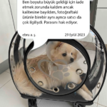 d41d4369c43d2d5b02b450acf641fd06