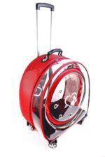 MİGNO Jumbo Model Kedi Köpek Taşıma Çantası Şeffaf Fileli Kırmızı - Görsel 3