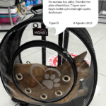 de2f02e71ae77d427afa080db083f723