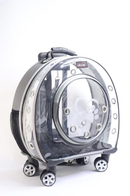 MİGNO Küçük Şeffaf - Fileli Model Kedi Köpek Taşıma Çantası Gri