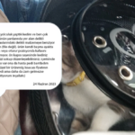 e35d786debcfbe6d0bb0deebb9845749