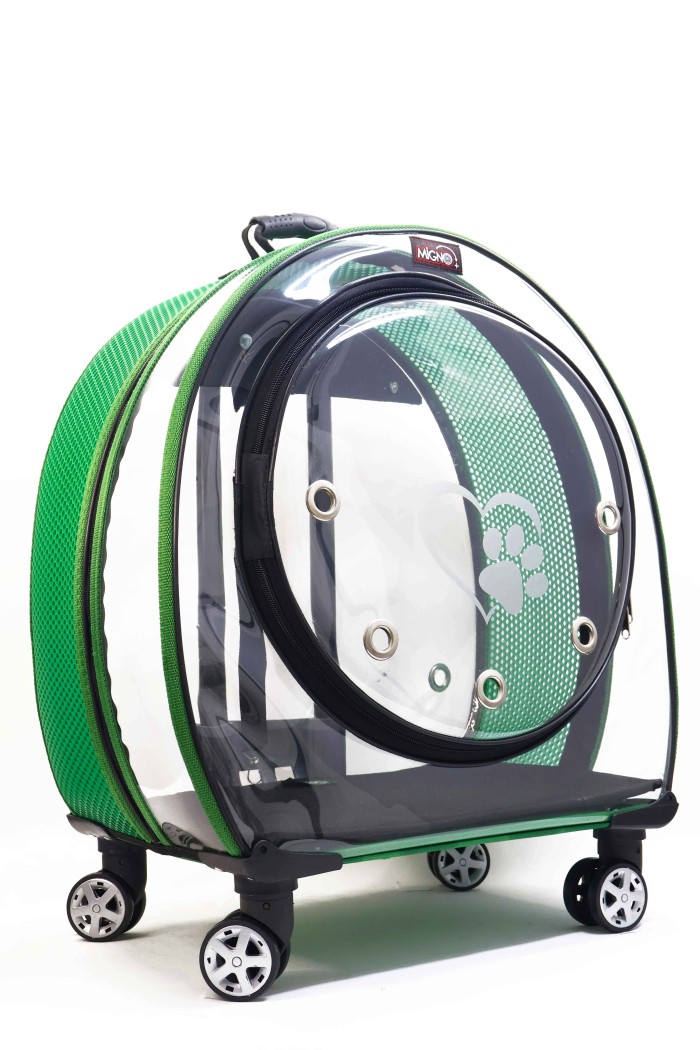 e3d5027670e9ac3b9e778e81c9f7322a.jpg MİGNO Jumbo Model Kedi Köpek Taşıma Çantası Şeffaf Fileli Yeşil - Görsel 1