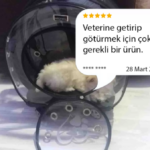 e53b24ed61fc3bf0a5cb04f020696429