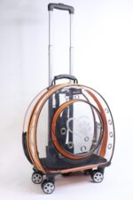 MİGNO Büyük Şeffaf Model Kedi Köpek Taşıma Çantası Turuncu - Görsel 2