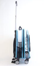 MİGNO Prestige Model Şeffaf Kedi Köpek Taşıma Çantaları Küçük - Turkuaz - Görsel 3