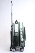 MİGNO Küçük Şeffaf Model Kedi Köpek Taşıma Çantası Yeşil - Görsel 3