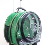 MİGNO Space Model Kedi Köpek Taşıma Çantası Fileli Yeşil