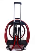 MİGNO Jumbo Model Kedi Köpek Taşıma Çantası Fileli Kırmızı - Görsel 4