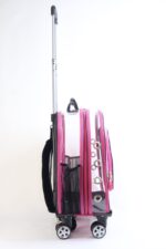 MİGNO Prestige Model Şeffaf Kedi Köpek Taşıma Çantaları Büyük - Pembe - Görsel 3