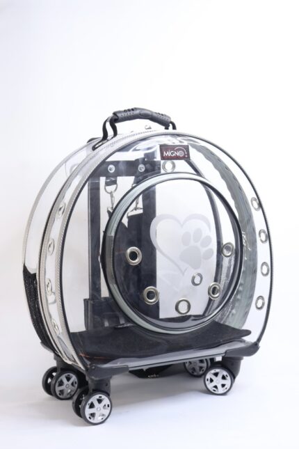 MİGNO Büyük Şeffaf Model Kedi Köpek Taşıma Çantası Gri