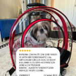 fda23a4930012383cfd482b8120824ad